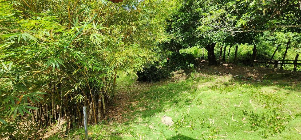 Hostel Finca La Gordita Calabazo  外观 照片