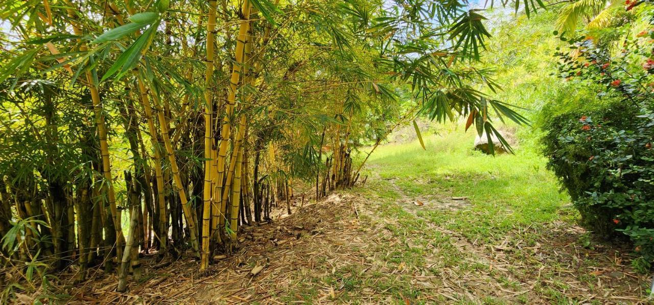 Hostel Finca La Gordita Calabazo  外观 照片
