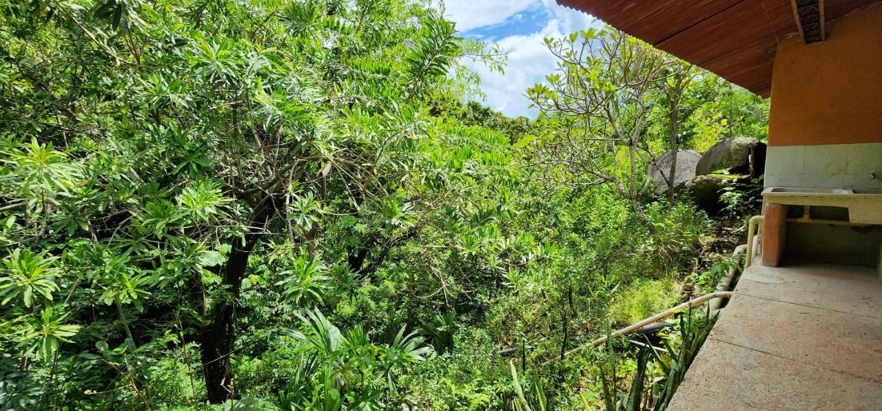 Hostel Finca La Gordita Calabazo  外观 照片