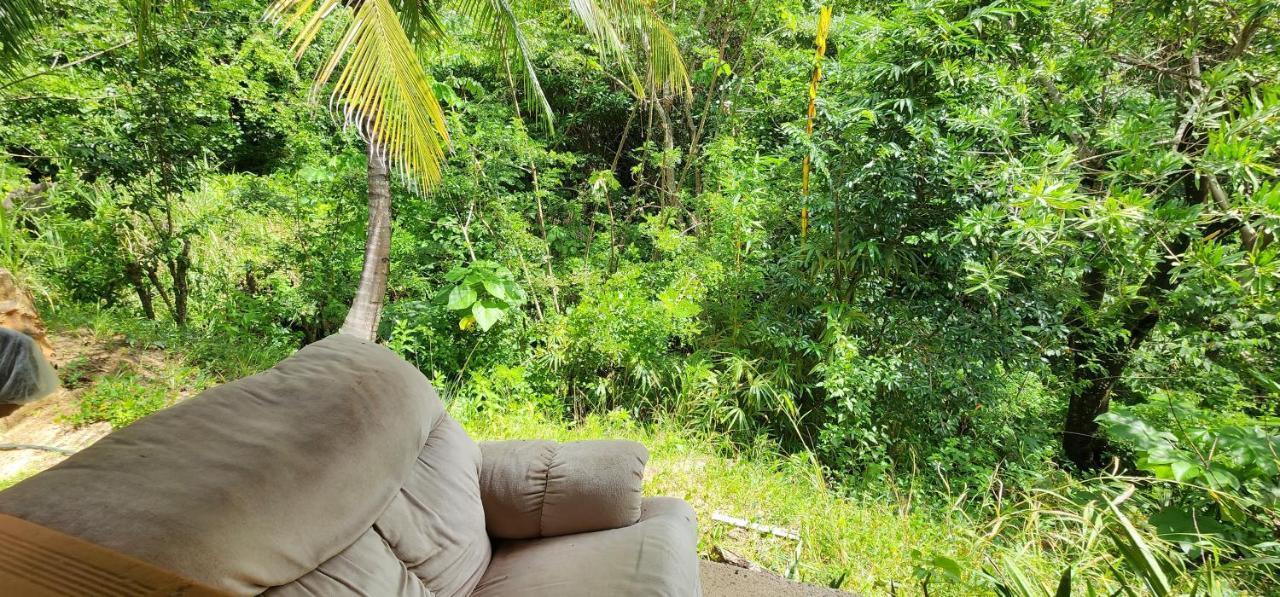 Hostel Finca La Gordita Calabazo  外观 照片