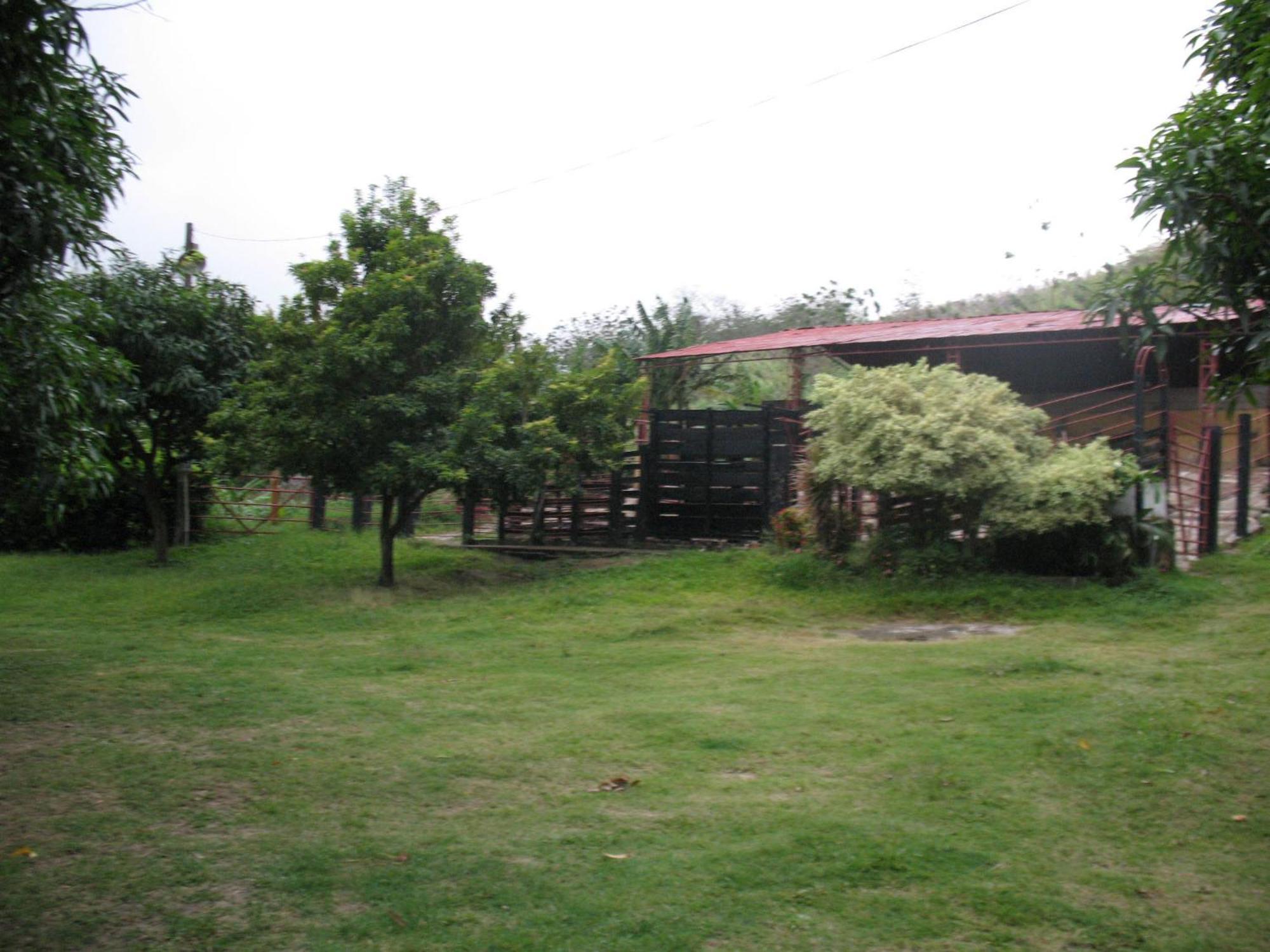 Hostel Finca La Gordita Calabazo  外观 照片