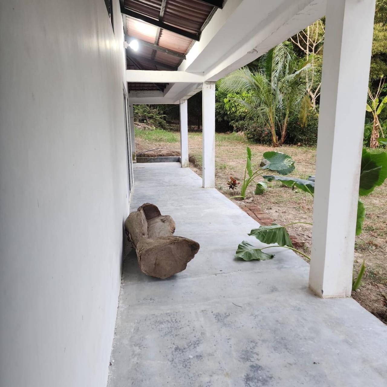 Hostel Finca La Gordita Calabazo  外观 照片
