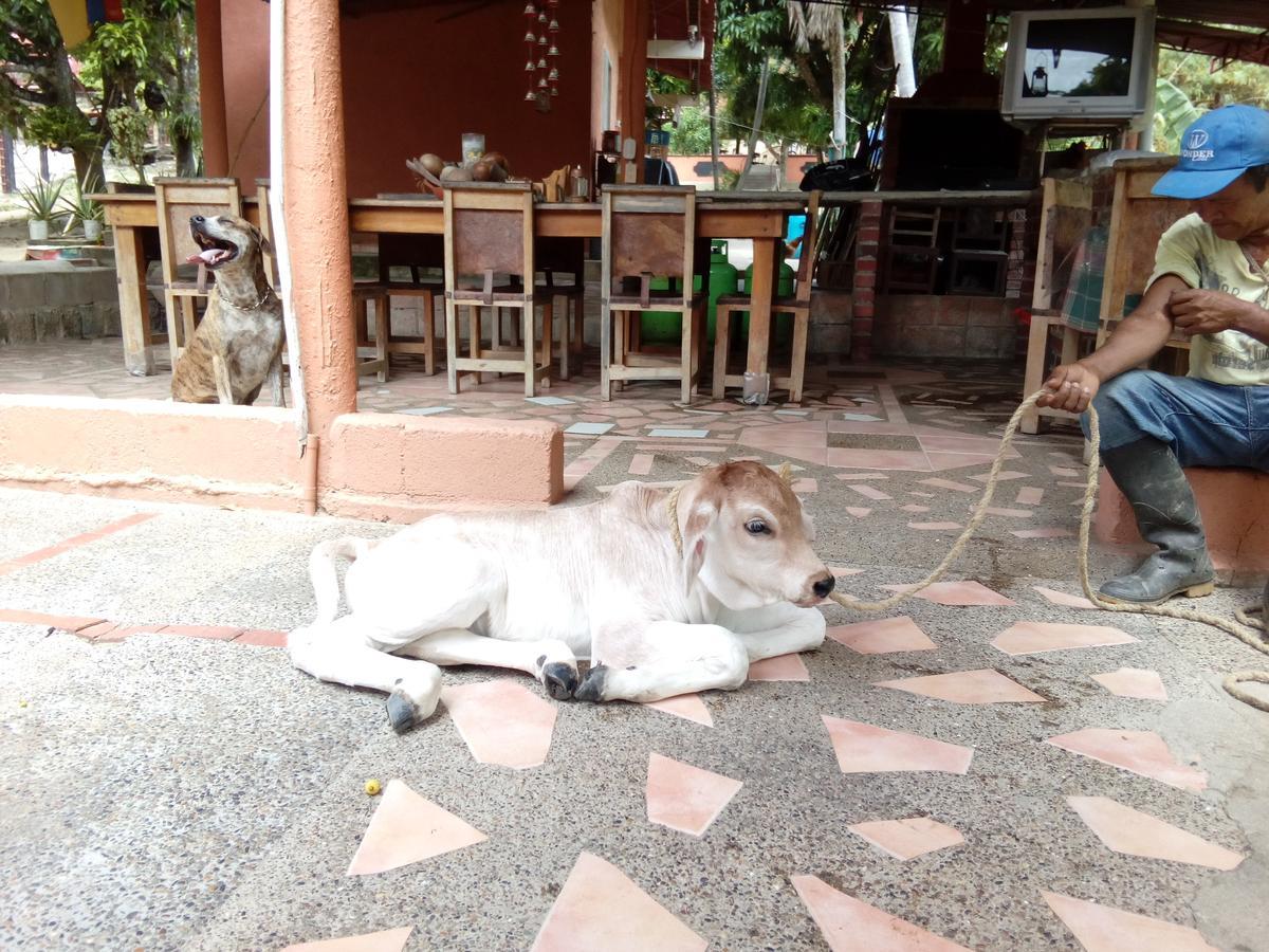 Hostel Finca La Gordita Calabazo  外观 照片