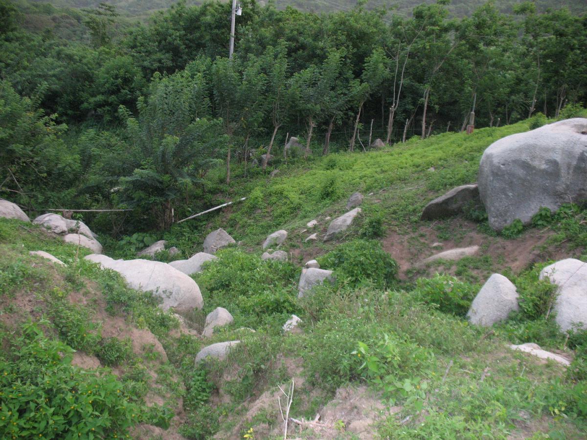 Hostel Finca La Gordita Calabazo  外观 照片